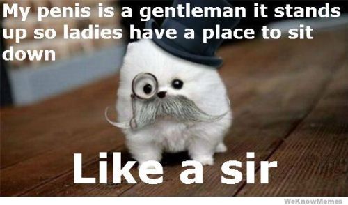 my-penis-is-a-gentleman