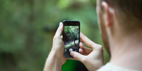 Taking a photo with a smartphone in a forest