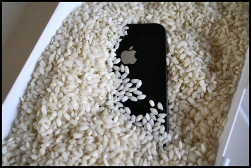 iPhone-Rice-650x435