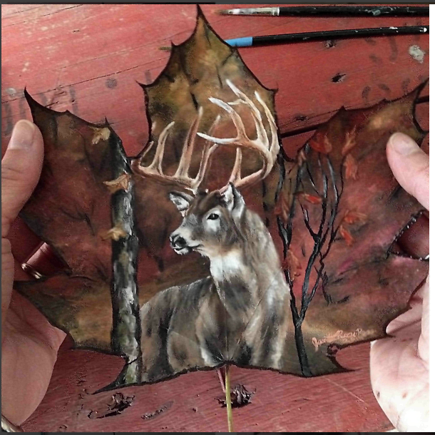 Hyper Realistic Paintings On Leaves | Jiji Blog