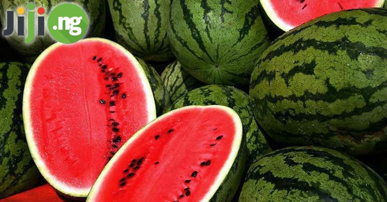 Watermelon Farming In Nigeria