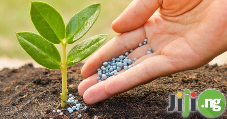 Fertilizer In Nigeria: Your Guide To Fertilizing
