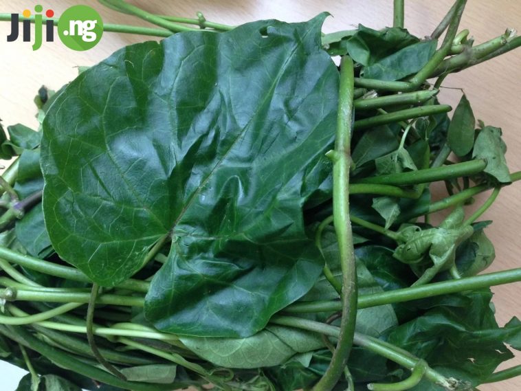 Health Benefits of Utazi Leaves | Jiji Blog