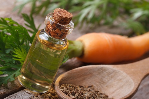 health benefits of carrot oil 