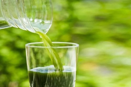 bitter leaf water benefits 
