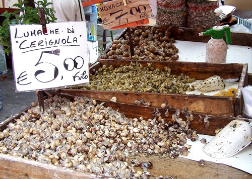 how lucrative is snail farming in nigeria 
