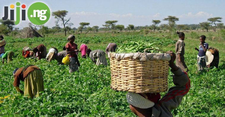 Problems of agricultural development in Nigeria