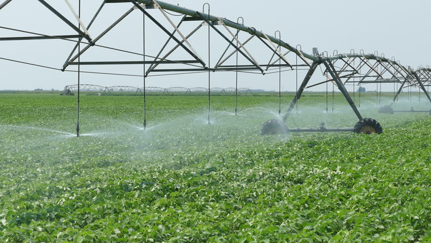Water Issues Between Urbanization And Agriculture