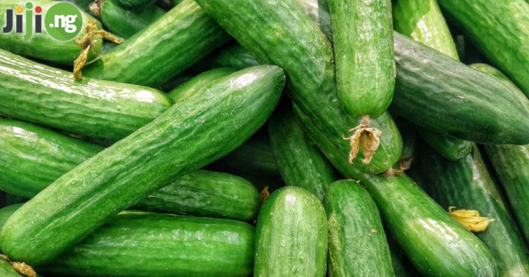 The 10 Health Benefits Of Cucumber