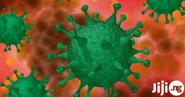 Where Did Coronavirus Come From?